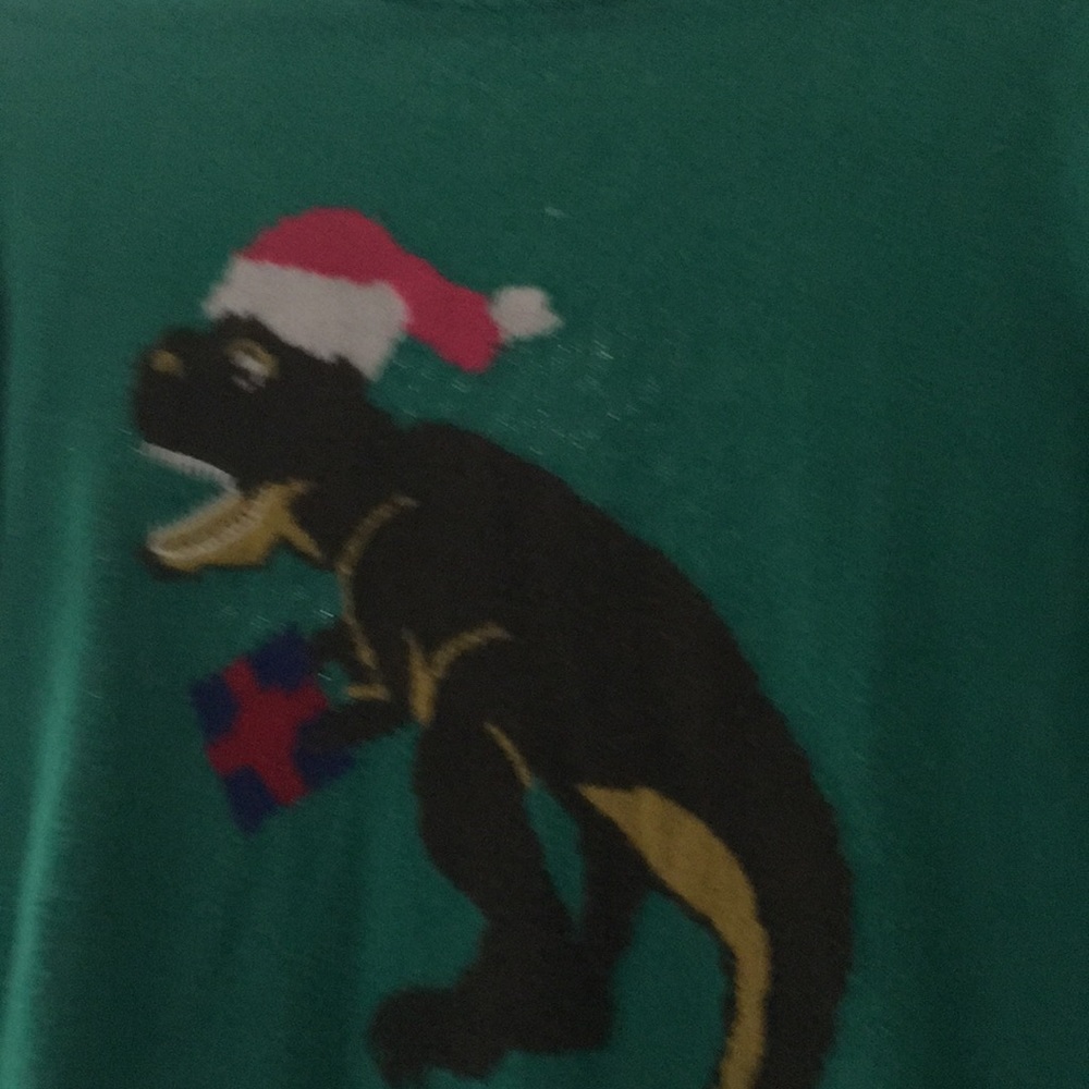 Boys CHRISTMAS M 10/12 dinosaur Christmas sweater